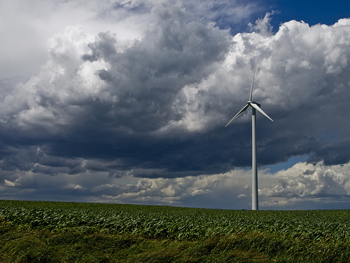 thomas.merton wind farm