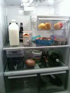 blog fridge